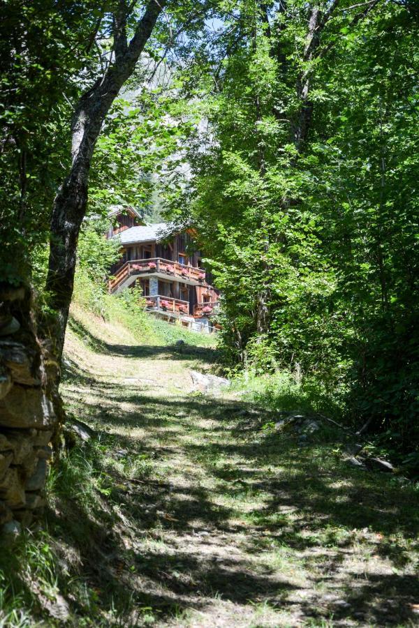 לה פלאנייה Chalet Des Trappeurs Coeur Vanoise 15 Persons מראה חיצוני תמונה